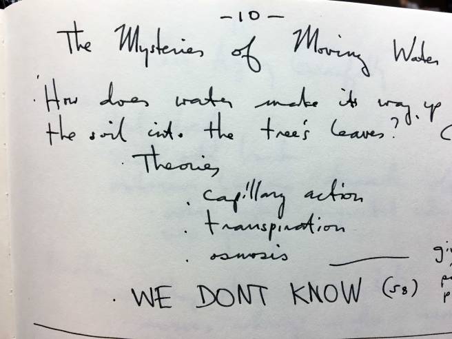 hidden-life-of-trees-chapter-10-notes