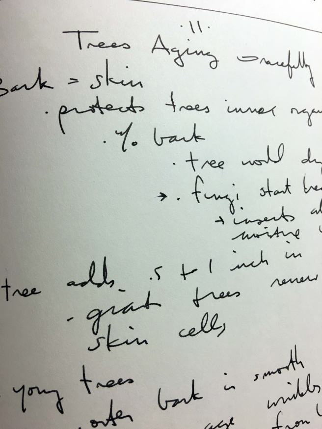hidden-life-of-trees-chapter-11-notes