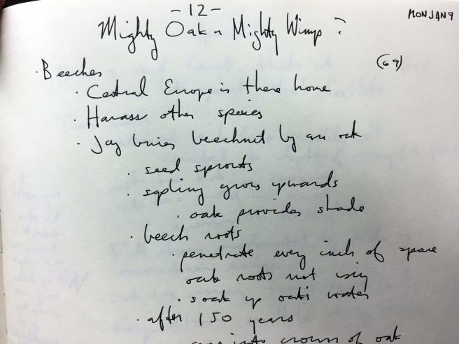 hidden-life-of-trees-chapter-12-notes