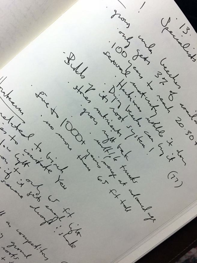 hidden-life-of-trees-chapter-13-notes