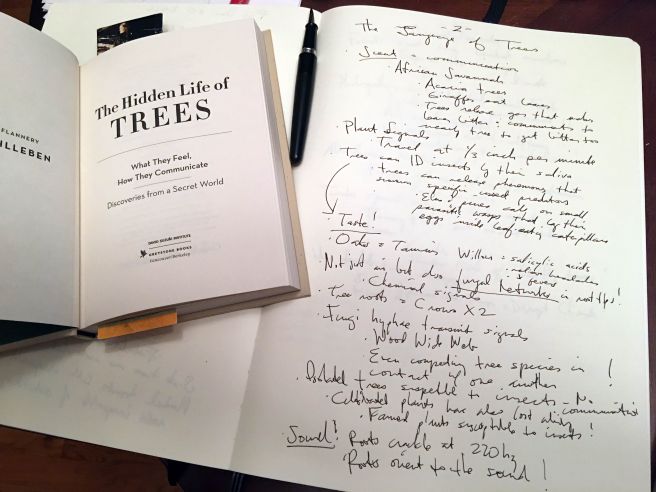 hidden-life-of-trees-chapter-2-notes