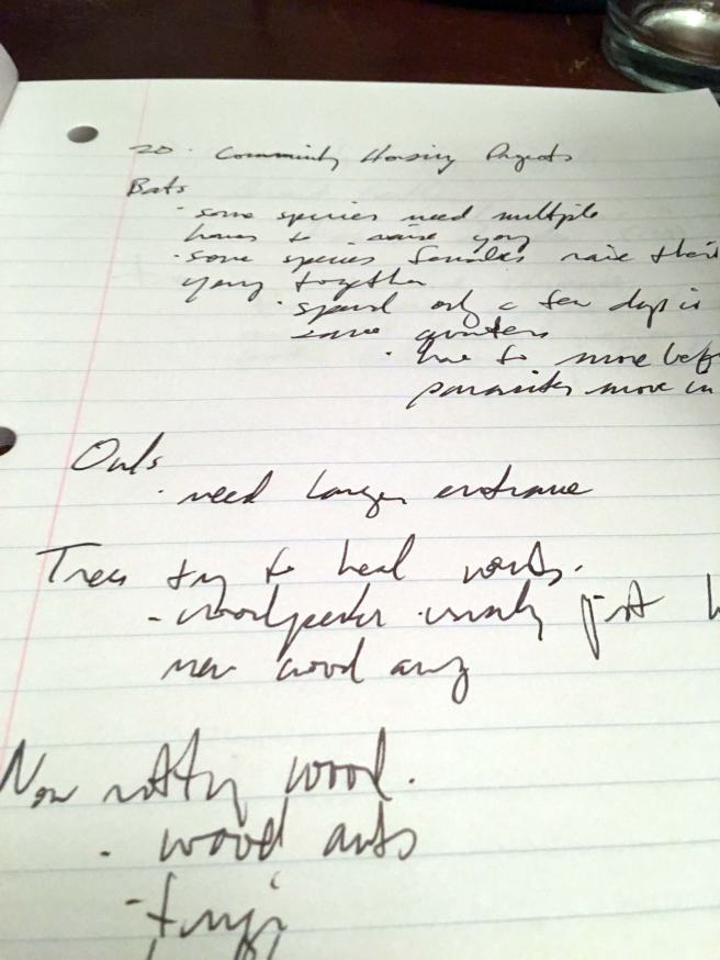 hidden-life-of-trees-chapter-20-notes