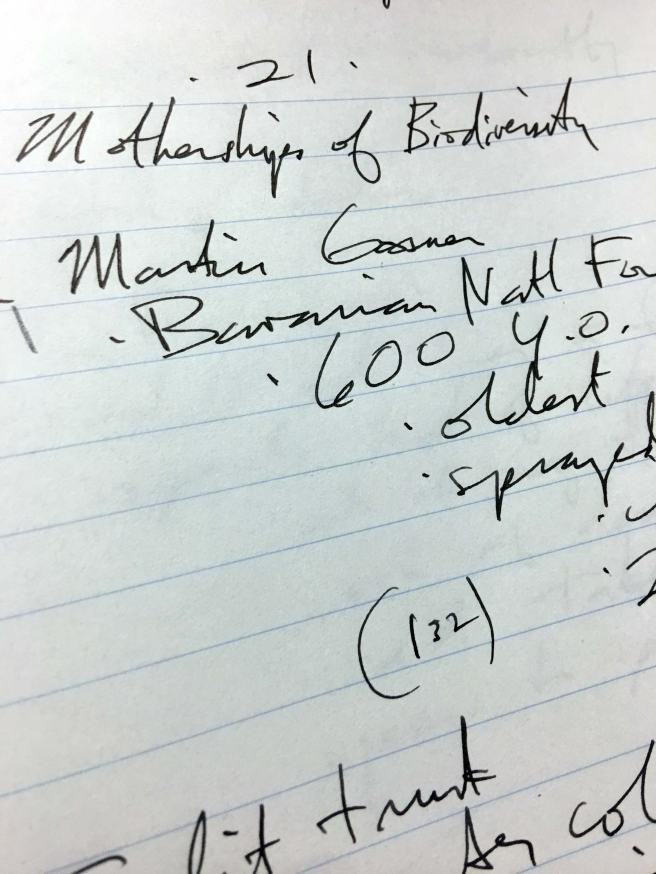 hidden-life-of-trees-chapter-21-notes