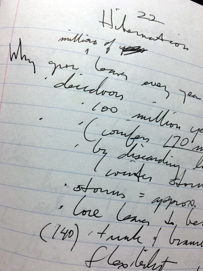 hidden-life-of-trees-chapter-22-notes